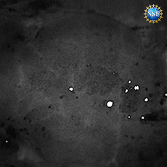 Time-lapse images of blood vessels in the brain just beneath the skull of a sedated mouse, revealed without any surgery, incisions, or damage to the mouse’s bone or skin. By reversibly dyeing the tissues with FD & C Yellow 5 and using a technique called laser speckle contrast imaging, Stanford University researchers observed the blood flow within this living brain. Time-lapse images of blood vessels in the brain just beneath the skull of a sedated mouse, revealed without any surgery, incisions, or damage to the mouse’s bone or skin. By reversibly dyeing the tissues with FD & C Yellow 5 and using a technique called laser speckle contrast imaging, Stanford University researchers observed the blood flow within this living brain.
