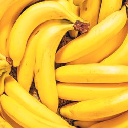 Several bunches of bananas on jute fabric
