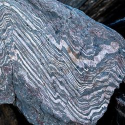 Banded iron formations in 3.7-billion-year-old rocks from the Isua Supracrustal Belt in Greenland have been distorted but not destroyed by the passage of time.
