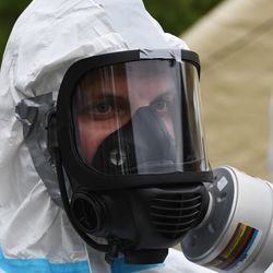 Climate change is helping the H5N1 bird flu virus spread and evolve