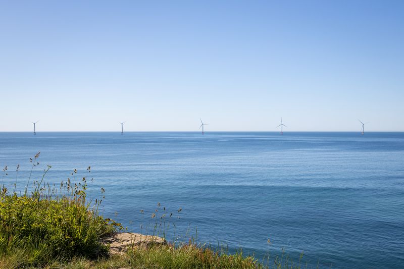 Blue ocean and blue sky, wind turbines dotted on the horizon line, grass in the foreground
