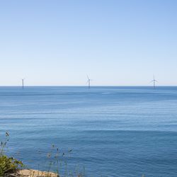 Blue ocean and blue sky, wind turbines dotted on the horizon line, grass in the foreground