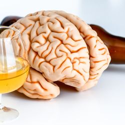 A plastic or rubber brain sitting next to a glass of wine and an upturned beer botle 