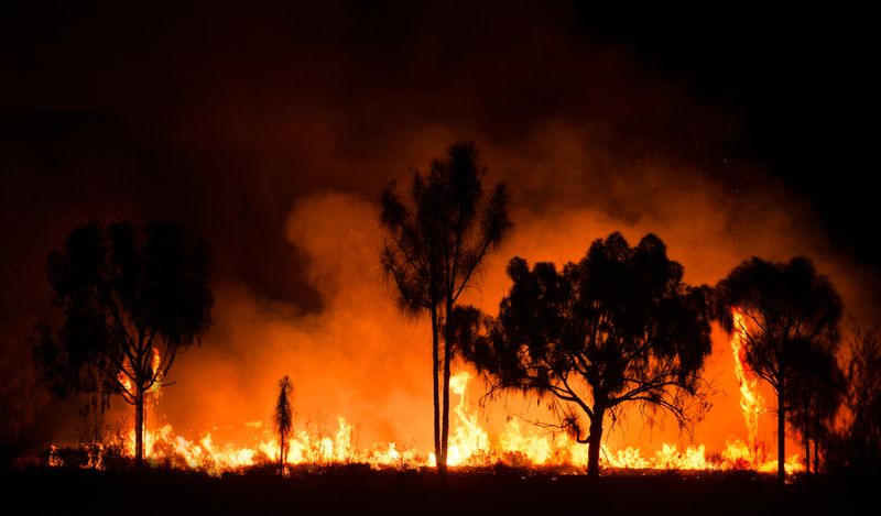 bushfire in Australian outback
