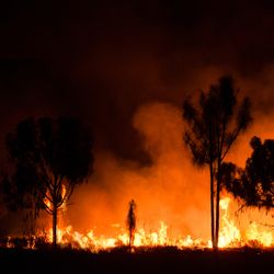 bushfire in Australian outback