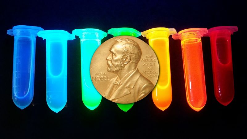 seven vials with solutions with quantum dots creaitng different colors.
