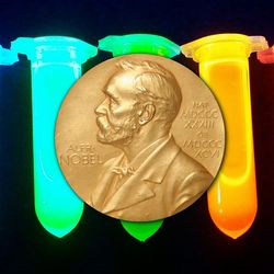 seven vials with solutions with quantum dots creaitng different colors.