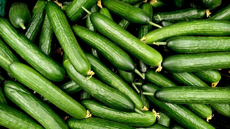 Top-down view of cucumbers