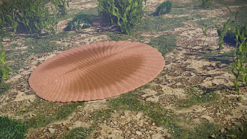 Dickinsonia, extinct creature of the Ediacaran era