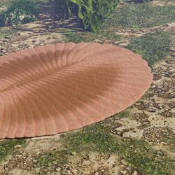 Dickinsonia, extinct creature of the Ediacaran era