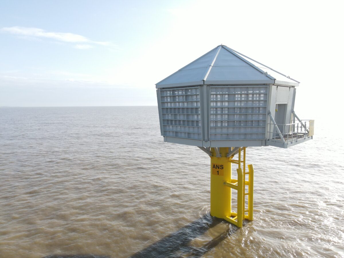 Another glimpse of Red7Marine's artificial nesting structures 
