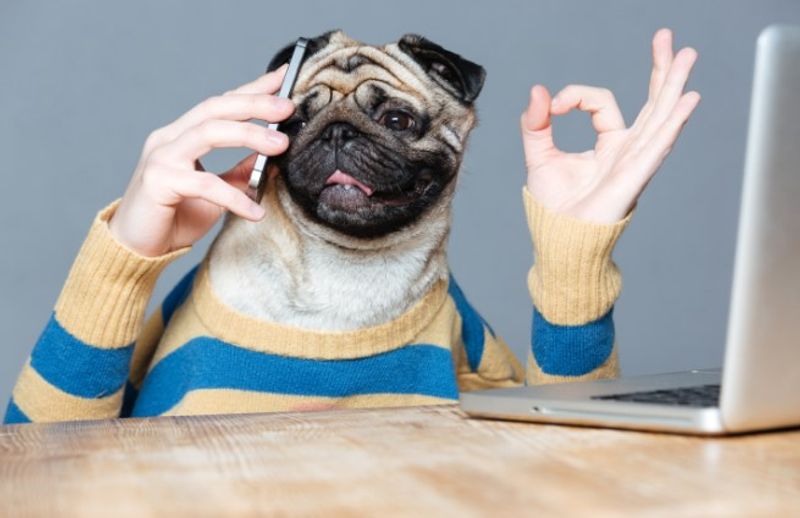 Dog communication AI