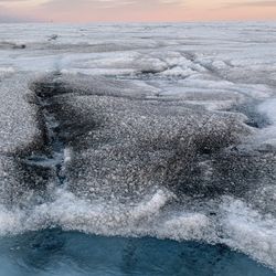 Greenland ice sheet black algae