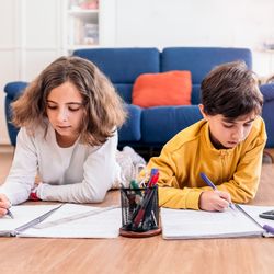 two kids lying on the floor on their stomachs doing homework; one has a calculator and there's a pot of pens between them; there's a blue sofa in the background and the floor is light wood