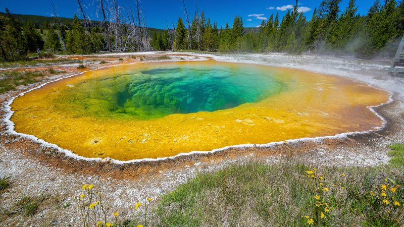 hot spring in yellowstone national park; water is steaming and in shades of bright yellow going to green and blue towards the middle