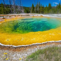 hot spring in yellowstone national park; water is steaming and in shades of bright yellow going to green and blue towards the middle