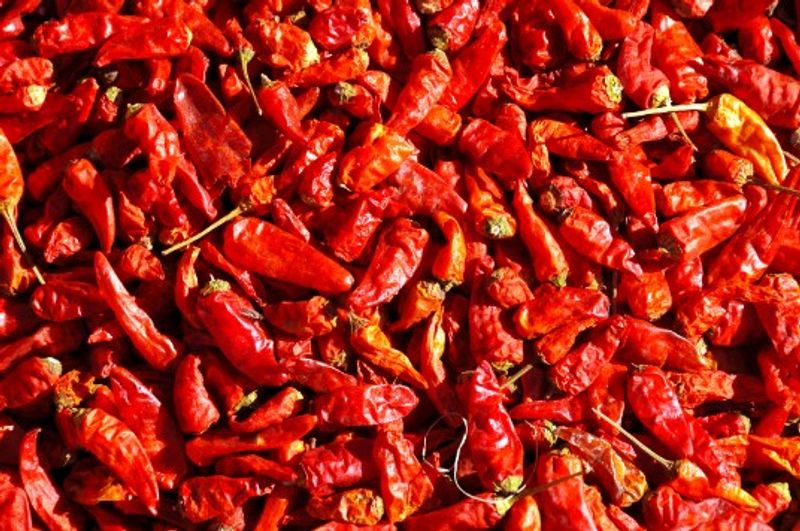 Hottest chili peppers