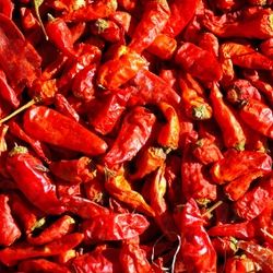 Hottest chili peppers