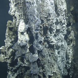 An underwater deepsea hydrothermal vent at the Endeavour segment of the Juan de Fuca Ridge near Vancouver Island, Canada.