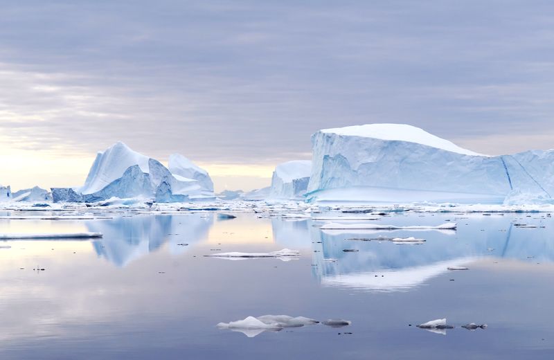 Icebergs in Northeast Greenland National Park