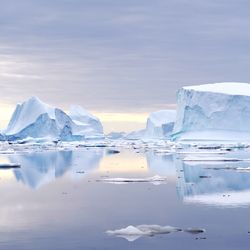 Icebergs in Northeast Greenland National Park