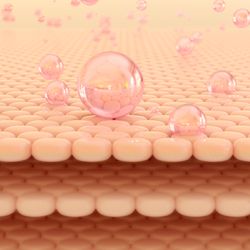 Illustration of three separated cream-colored layers of cells, with pink bubbles sinking into the top layer from above