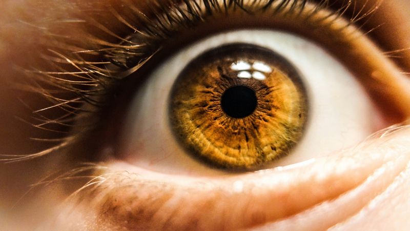 Close-up of a human eyewith a brown hazel iris