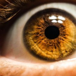 Close-up of a human eyewith a brown hazel iris