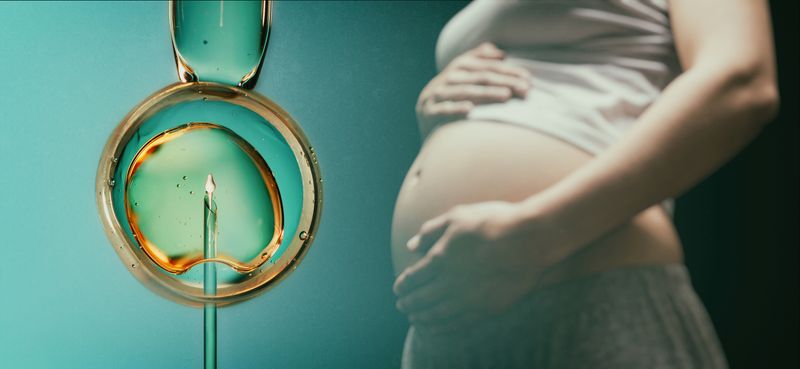 On the left a needle being inserted vertically into a cell to signify IVF treatment, on the right and out of focus the torso of a pregnant person with hands cradling bump