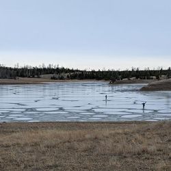 A panoramic photo showing the shallow waters of Last Chance Lake surrounded by dry, spars grass and a horizon occupied by a line of trees. 