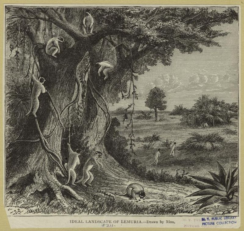 An artist's impression of Lemuria, complete with lemurs, from 1893.
