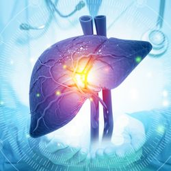 3D rendered image of human liver in purple with major blood vessels shown and highlighted in yellow, background shows torso of someone in scrubs and stethoscope holding their hands out