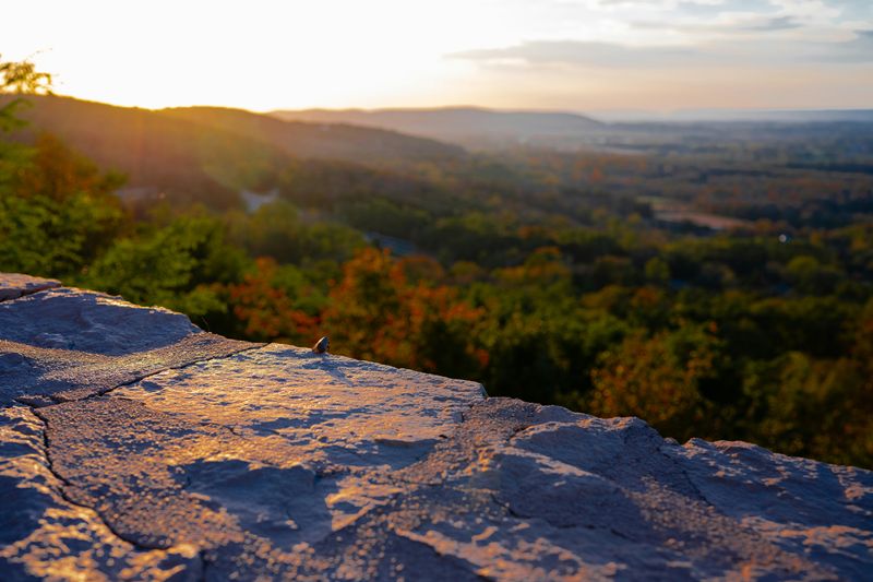 A view of rock and forest in Pennsylvania. 