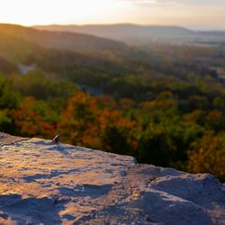 A view of rock and forest in Pennsylvania. 