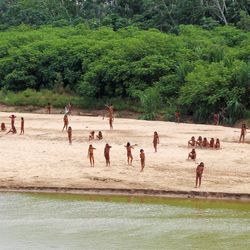 Uncontacted Mashco Piro people were photographed in July 2024 in an area “dangerously close” to parts of the forest being eyed up by logging companies.  