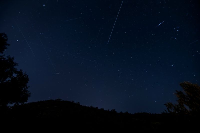 A dark hill with trees. IN the Sky trails of different lenght from different meteros