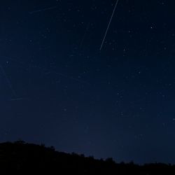 A dark hill with trees. IN the Sky trails of different lenght from different meteros