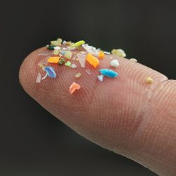 Macro shot of microplastics on a human finger.