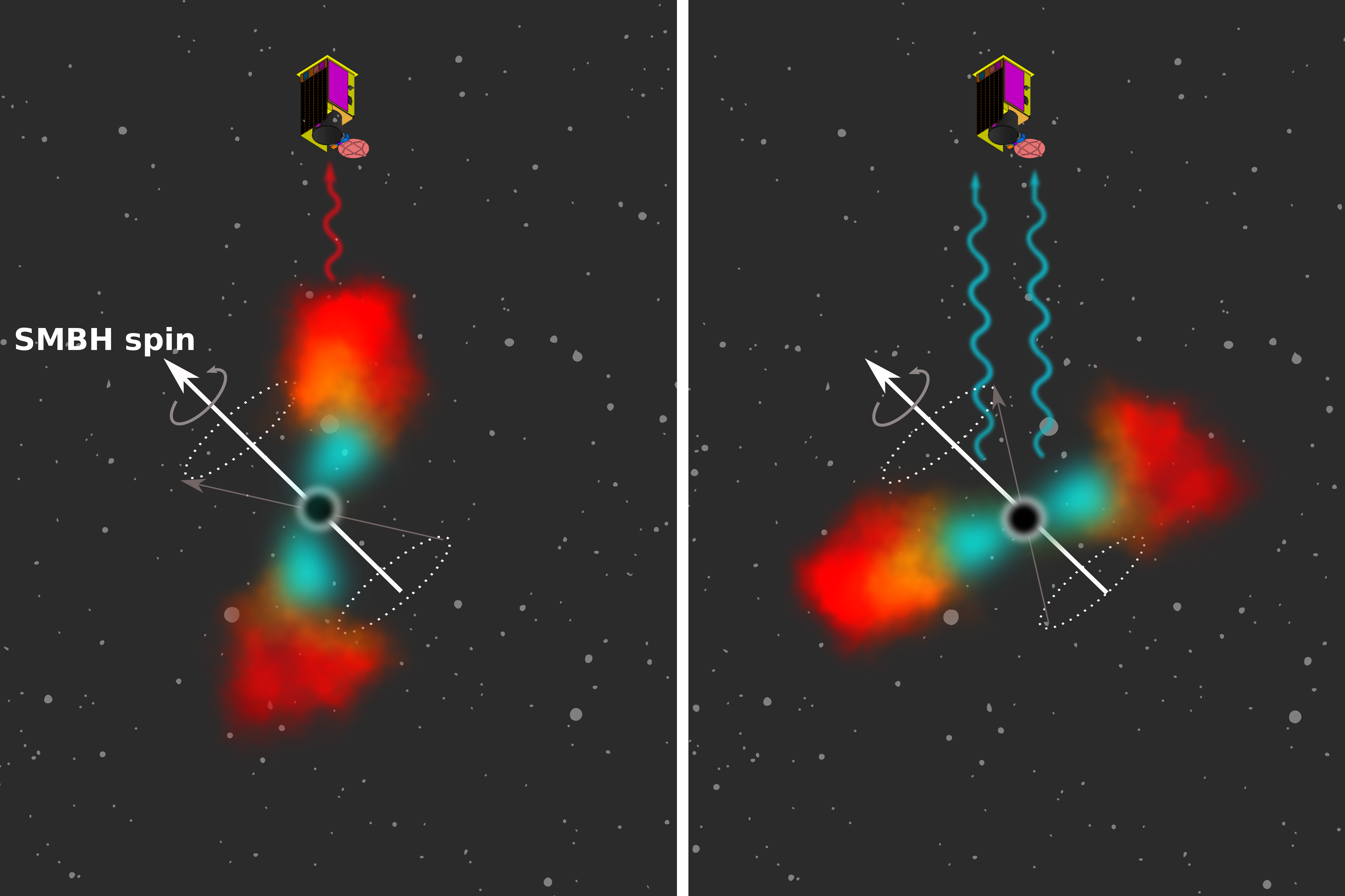 The image shows a black hole grabbing debris from a passing star. Light blue and red clouds are around the black hole. Arrows depict the “spin of the supermassive black hole.” The image shows a black hole grabbing debris from a passing star. Light blue and red clouds are around the black hole. Arrows depict the “spin of the supermassive black hole.”