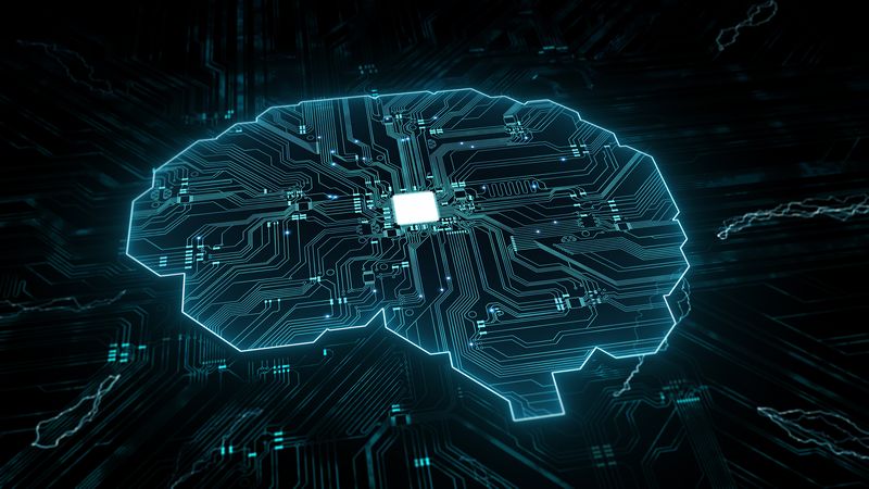 a mother-board designed in the shape of a brain
