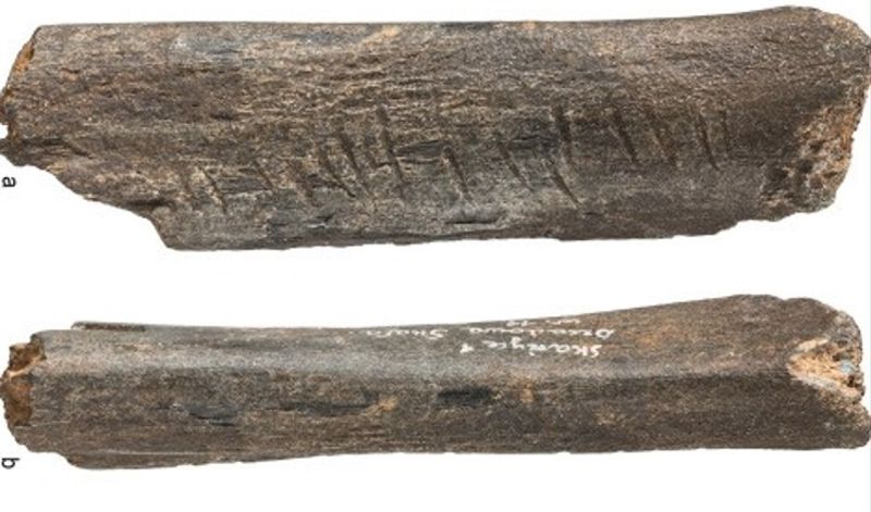 Neanderthal culture bear bone