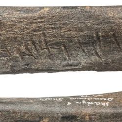 Neanderthal culture bear bone