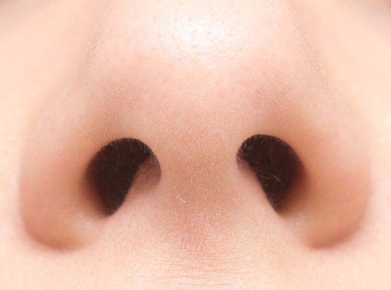 Nostrils