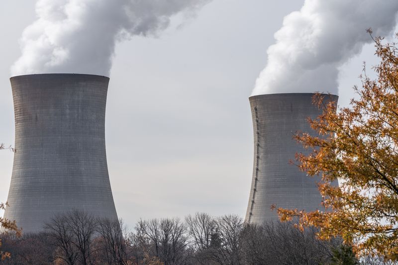 Two nuclear cooling towers are framed in this image. The white steam is flowing from their tops. The base of the cooling towers are obscured by a line of bear trees and the right hand side of the photo shows half of a yellow-brown tree.