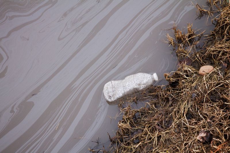 PFOA and a water bottle laying in water bed.