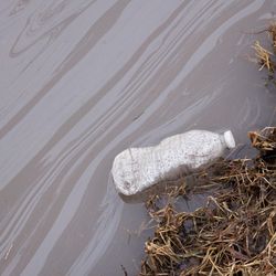 PFOA and a water bottle laying in water bed.
