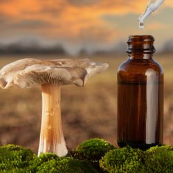 Psychedelic drugs natural synthetic