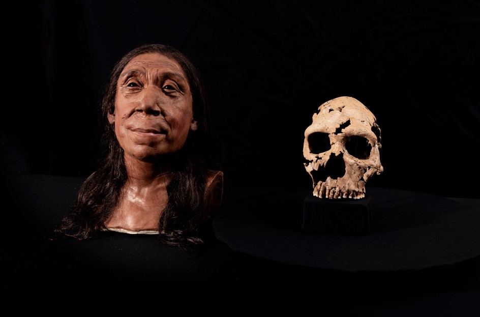 Shanidar Neanderthal woman face and skull Shanidar Neanderthal woman face and skull