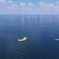 Work to set up the seaweed farm in the North SEa at Hollandse Kust Zuid begins.