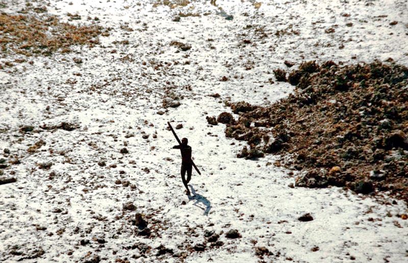 A member of the Sentinelese fires an arrow at a rescue helicopter as it flies over their island after the 2004 tsunami.